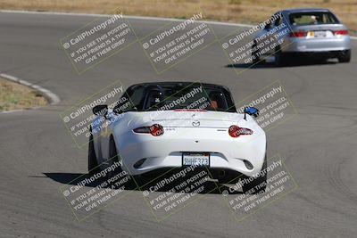 media/Nov-03-2023-Club Racer Events (Fri) [[fd9eff64e3]]/Yellow/Back Shots/